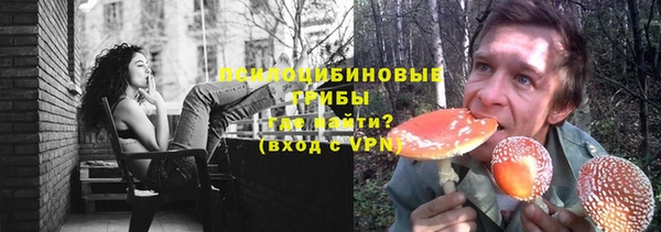 стаф Пестово