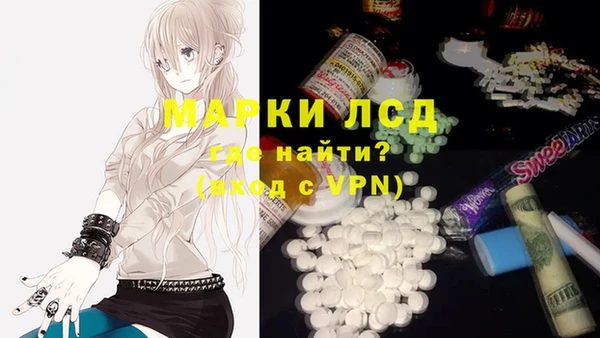 МДПВ Пересвет