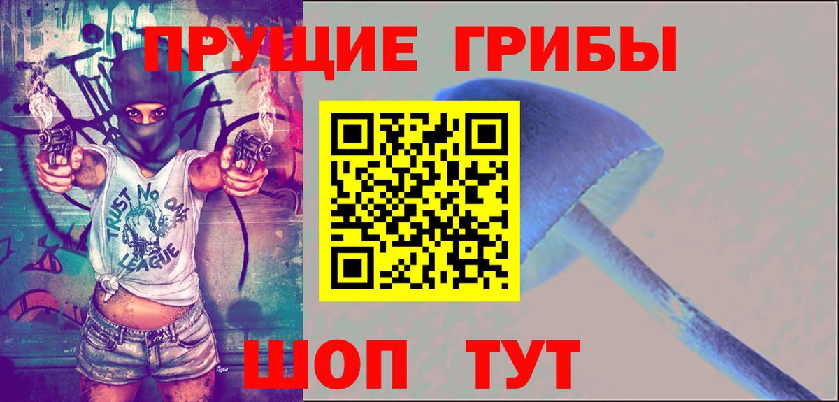 Псилоцибиновые грибы мицелий  Вход с VPN  Феодосия 